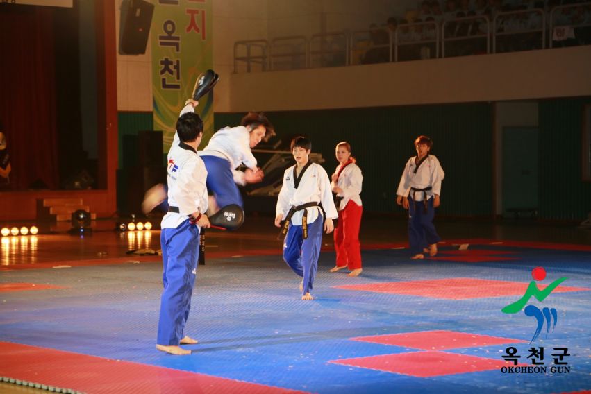 제38회 중봉충렬제（세계태권도연맹 시범단 시연） 14 번째 사진