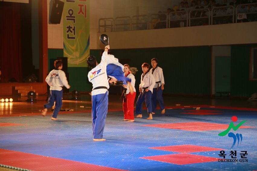 제38회 중봉충렬제（세계태권도연맹 시범단 시연） 15 번째 사진