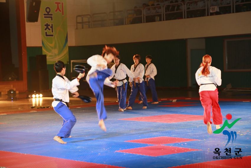 제38회 중봉충렬제（세계태권도연맹 시범단 시연） 16 번째 사진