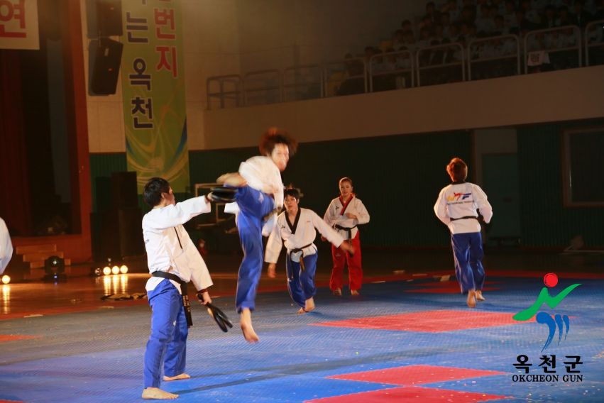 제38회 중봉충렬제（세계태권도연맹 시범단 시연） 18 번째 사진