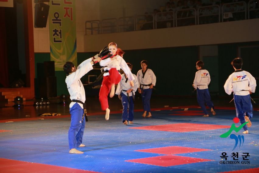 제38회 중봉충렬제（세계태권도연맹 시범단 시연） 20 번째 사진