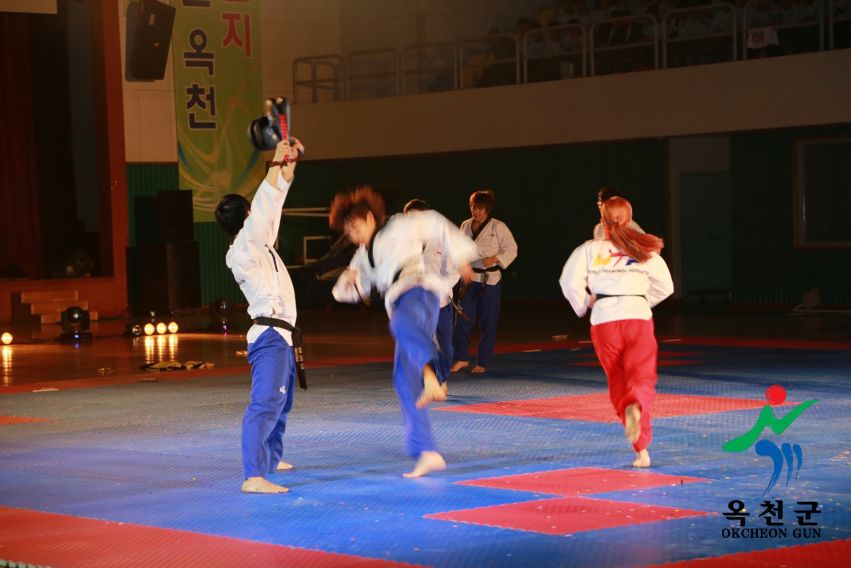 제38회 중봉충렬제（세계태권도연맹 시범단 시연） 21 번째 사진
