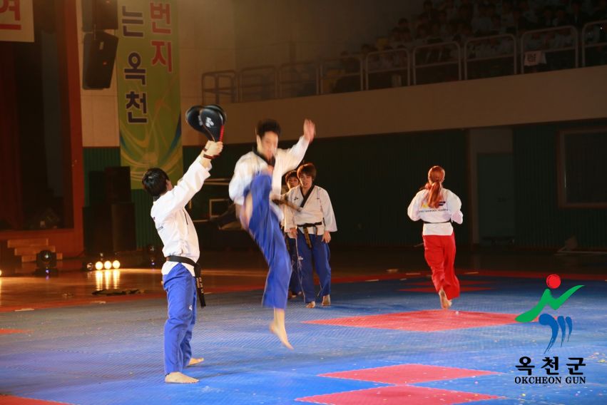 제38회 중봉충렬제（세계태권도연맹 시범단 시연） 22 번째 사진