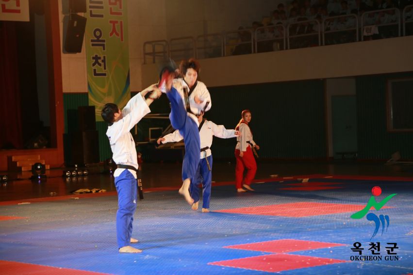 제38회 중봉충렬제（세계태권도연맹 시범단 시연） 23 번째 사진