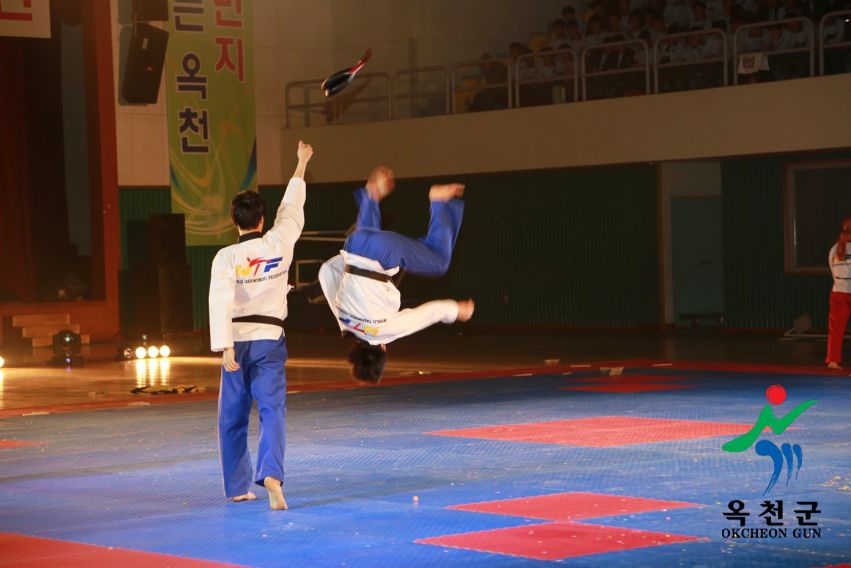 제38회 중봉충렬제（세계태권도연맹 시범단 시연） 24 번째 사진