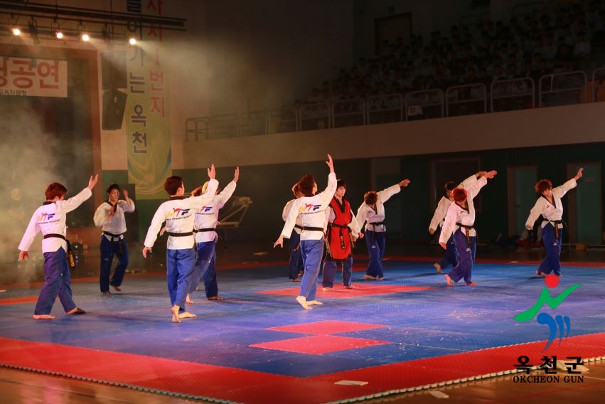 제38회 중봉충렬제（세계태권도연맹 시범단 시연） 25 번째 사진