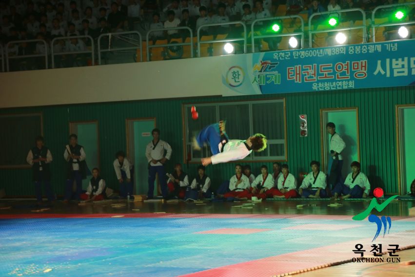 제38회 중봉충렬제（세계태권도연맹 시범단 시연） 26 번째 사진