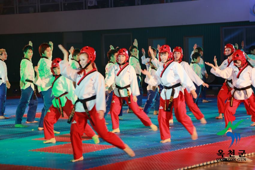 제38회 중봉충렬제（세계태권도연맹 시범단 시연） 30 번째 사진