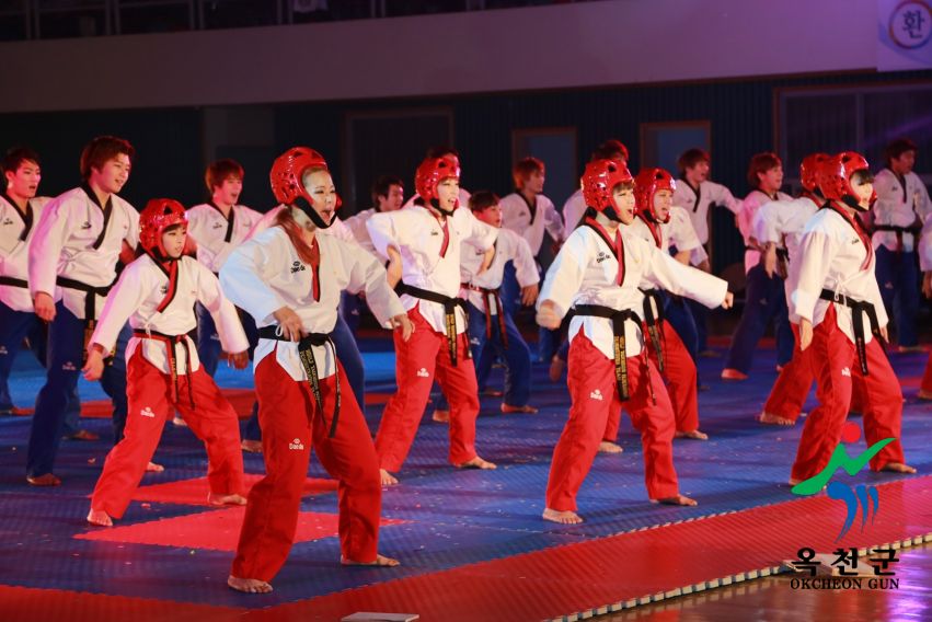 제38회 중봉충렬제（세계태권도연맹 시범단 시연） 31 번째 사진