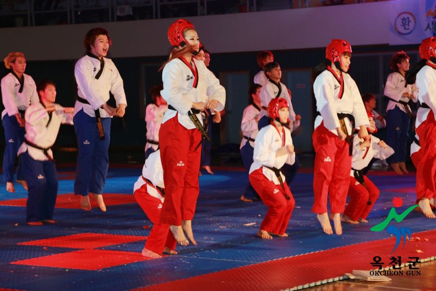제38회 중봉충렬제（세계태권도연맹 시범단 시연） 34 번째 사진