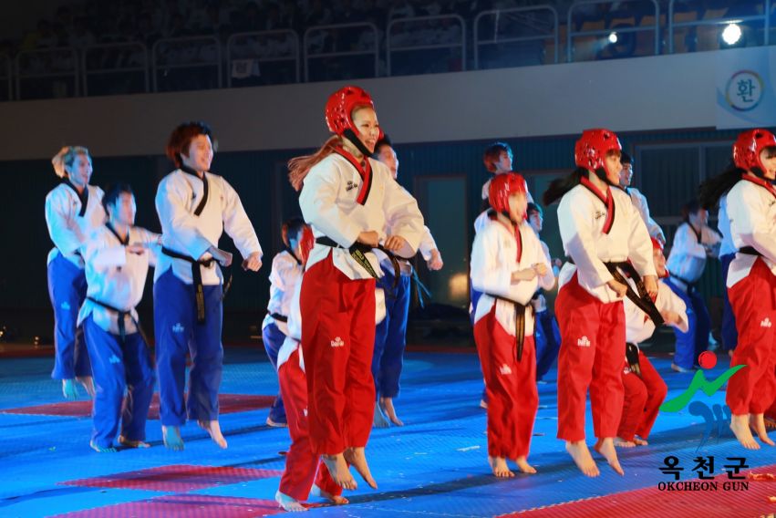제38회 중봉충렬제（세계태권도연맹 시범단 시연） 35 번째 사진