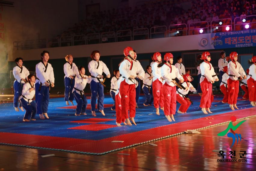 제38회 중봉충렬제（세계태권도연맹 시범단 시연） 37 번째 사진