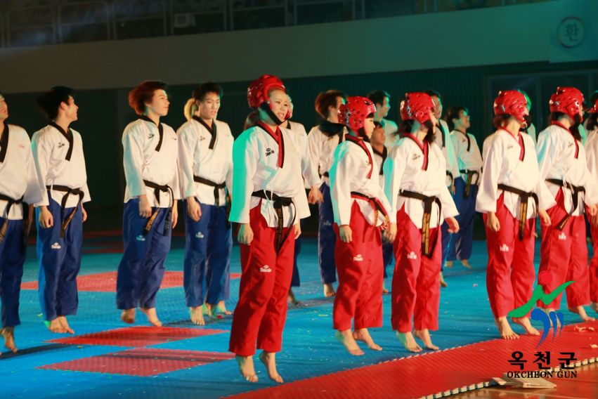 제38회 중봉충렬제（세계태권도연맹 시범단 시연） 38 번째 사진