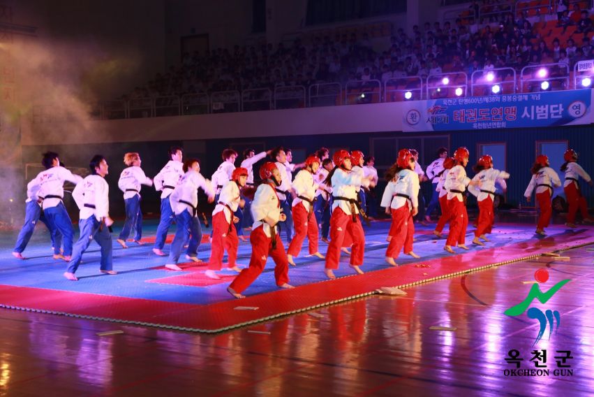 제38회 중봉충렬제（세계태권도연맹 시범단 시연） 39 번째 사진