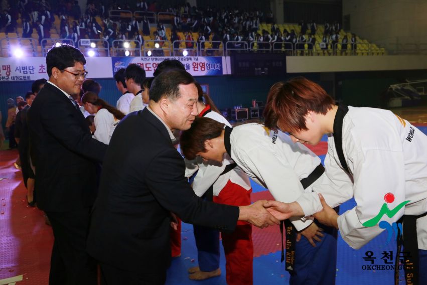 제38회 중봉충렬제（세계태권도연맹 시범단 시연） 48 번째 사진