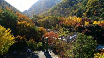 장령산휴양림 3번째 사진