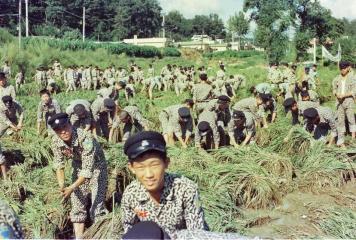 옥천공업고등학교 농촌일손돕기 （1980년대）