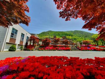 장령산휴양림 6번째 사진