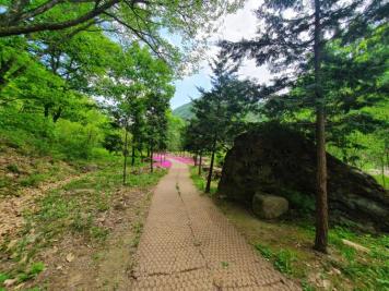 장령산휴양림