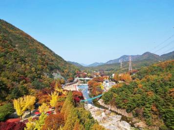 장령산휴양림 11번째 사진