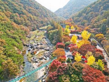 장령산휴양림 13번째 사진