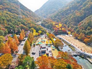 장령산휴양림 17번째 사진