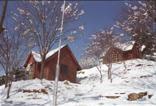 장용산설경 6번째 사진