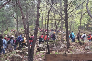 장용산 금천계곡 8번째 사진