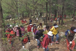 장용산 금천계곡 14번째 사진