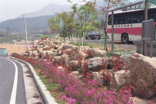 장용산 금천계곡 20번째 사진