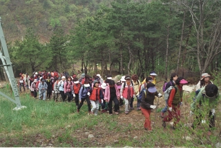 청주 주부클럽 장용산등반 11번째 사진