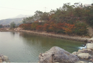 장용산 휴양림 3번째 사진
