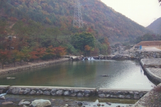 장용산 휴양림 5번째 사진