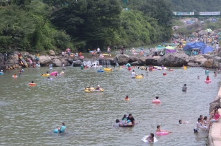 2005년 장용산 휴양림 3번째 사진