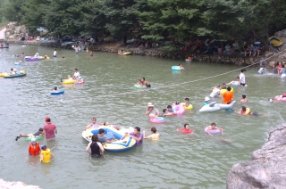 2005년 장용산 휴양림 5번째 사진