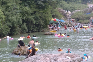 2005년 장용산 휴양림 6번째 사진