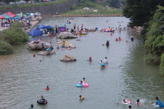 2005년 장용산 휴양림 11번째 사진
