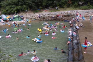 2005년 장용산 휴양림 15번째 사진