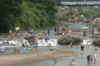 장용산 휴양림
