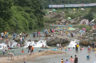 장용산 휴양림