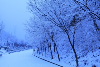 장령산 자연 휴양림 설경 2번째 사진