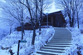장령산 자연 휴양림 설경 3번째 사진