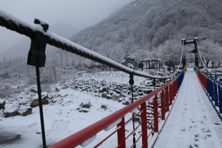장령산 자연 휴양림 설경 9번째 사진