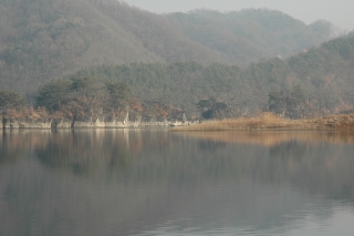 부소무니 9번째 사진