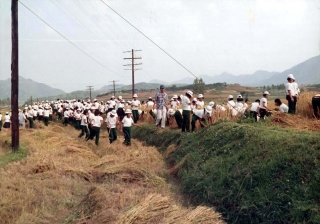 기타 작업 2번째 사진