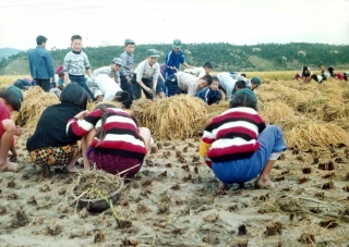 농축산