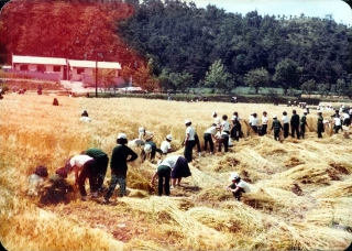 농축산 14번째 사진