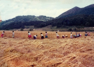 농축산
