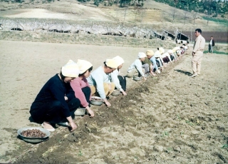 농축산