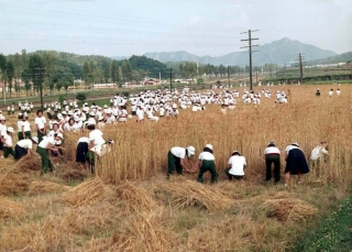농축산 23번째 사진